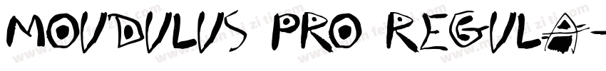 MOUDULUS PRO REGULA字体转换